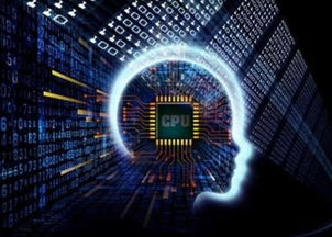 貝塔狗軟件系統(tǒng)定制開(kāi)發(fā)